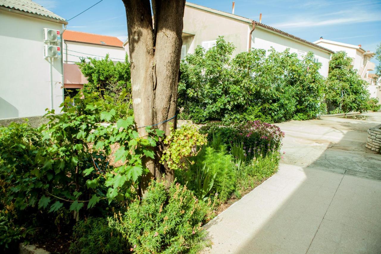 נובליה Apartments Alma מראה חיצוני תמונה