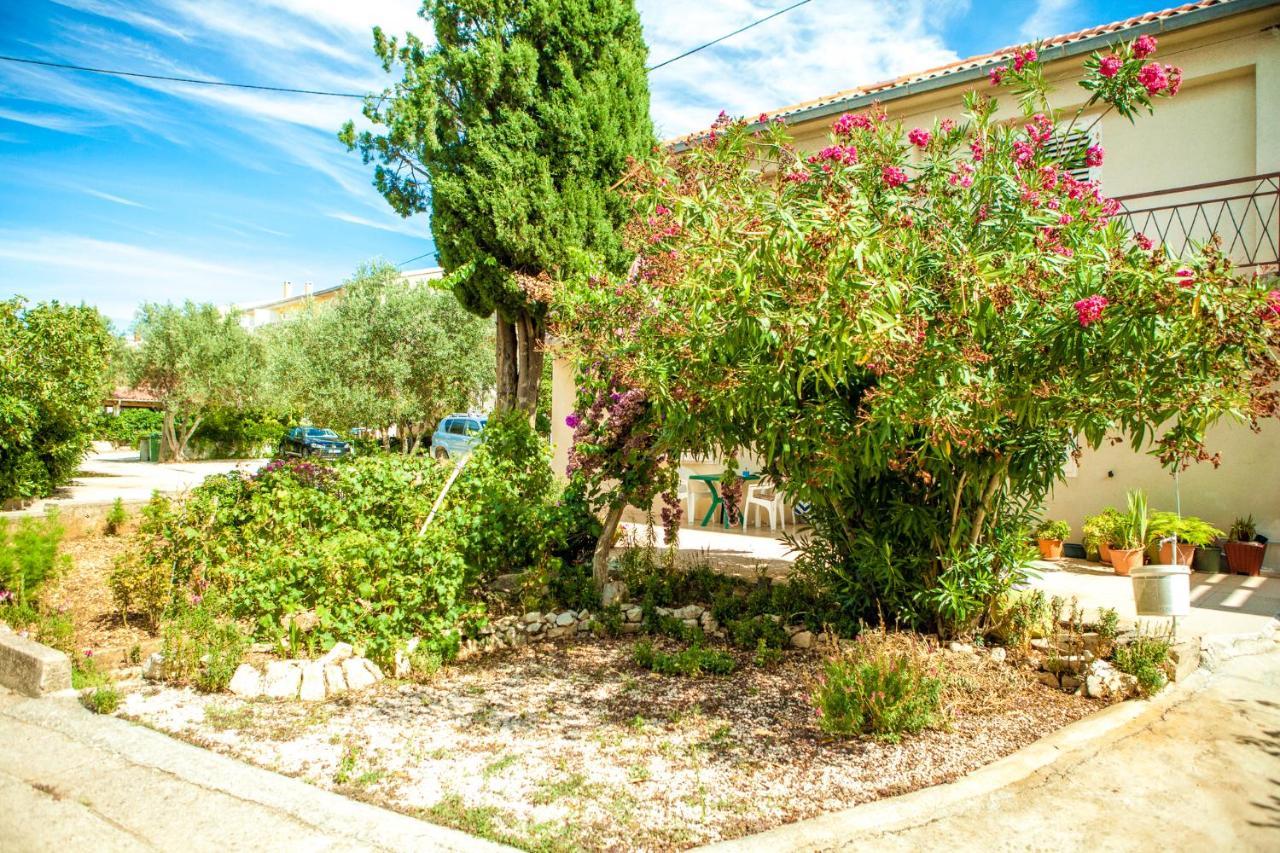 נובליה Apartments Alma מראה חיצוני תמונה