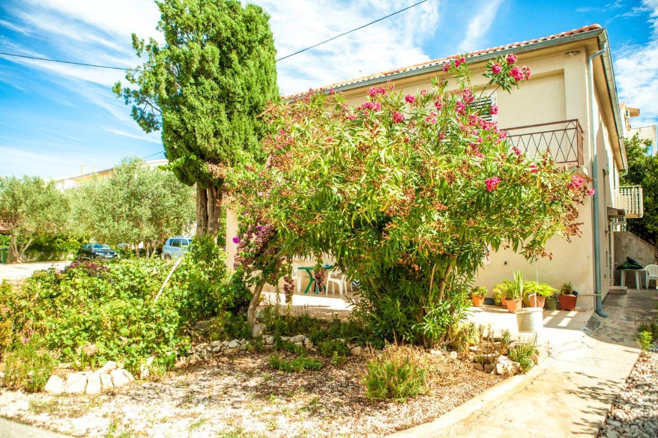 נובליה Apartments Alma מראה חיצוני תמונה