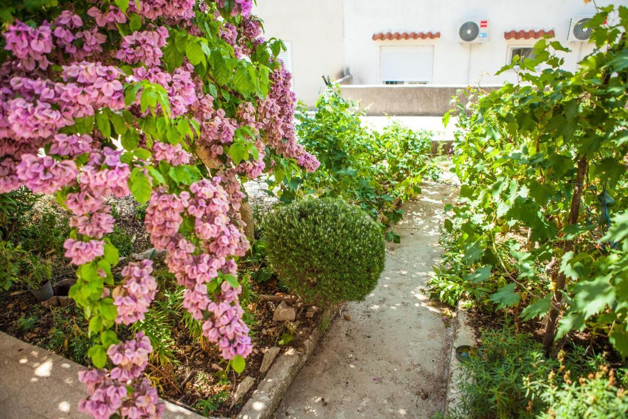 נובליה Apartments Alma מראה חיצוני תמונה